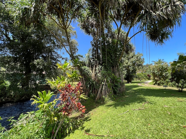 5-6691 Kuhio Hwy, Hanalei, HI 96714 - view of green lawn
