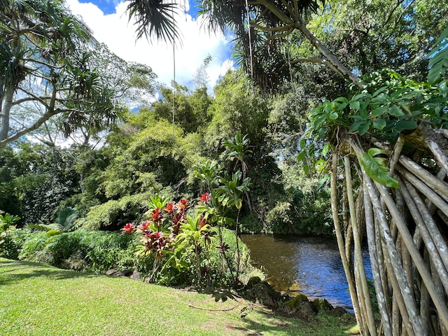 5-6691 Kuhio Hwy, Hanalei, HI 96714 - view of grassy yard