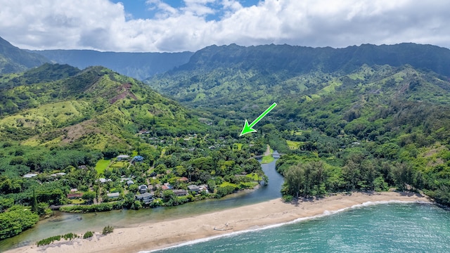 5-6691 Kuhio Hwy, Hanalei, HI 96714 - aerial view of a water and mountain view