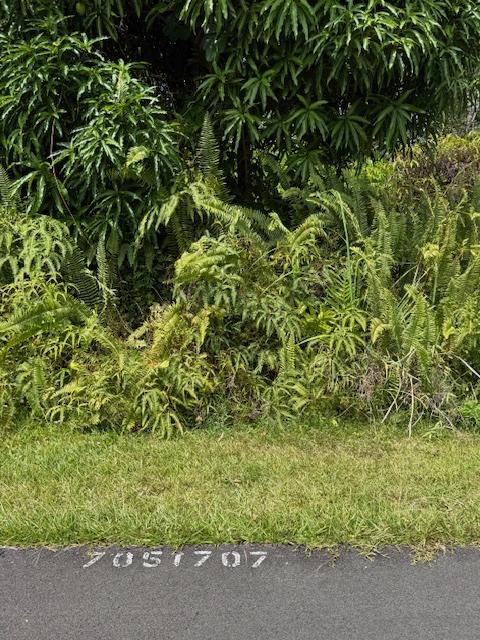 Kumu St, Pahoa, HI 96778