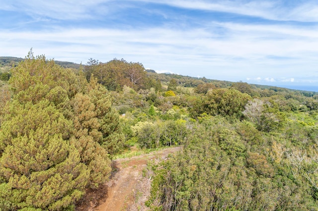 44-3200 Kula Kahiko Rd, Honokaa, HI 96727 - photo 8