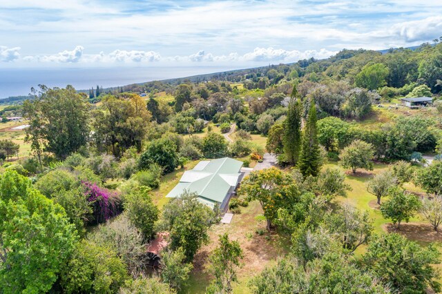 44-3200 Kula Kahiko Rd, Honokaa, HI 96727 - photo 9