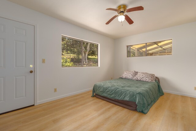 44-3200 Kula Kahiko Rd, Honokaa, HI 96727 - photo 18