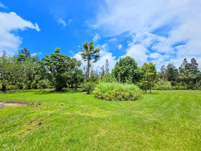 13-3403 Kumakahi St, Pahoa, HI 96778 - view of grassy yard
