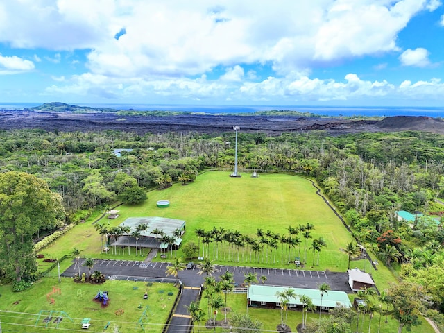 13-3403 Kumakahi St, Pahoa, HI 96778 - aerial view of a forest