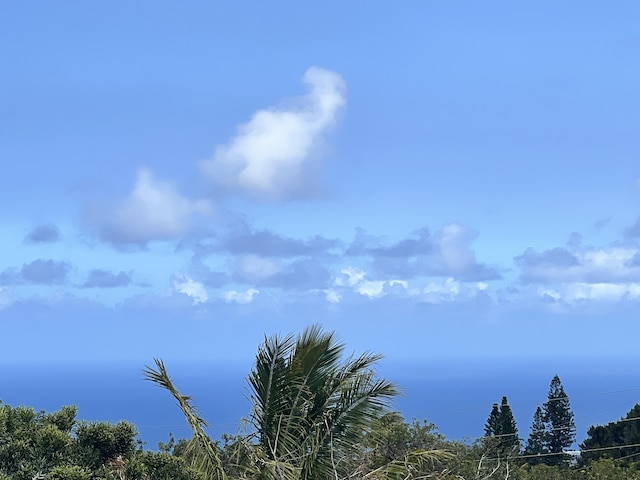 94-6707 Kamaoa Rd, Naalehu, HI 96772 - view of local wilderness