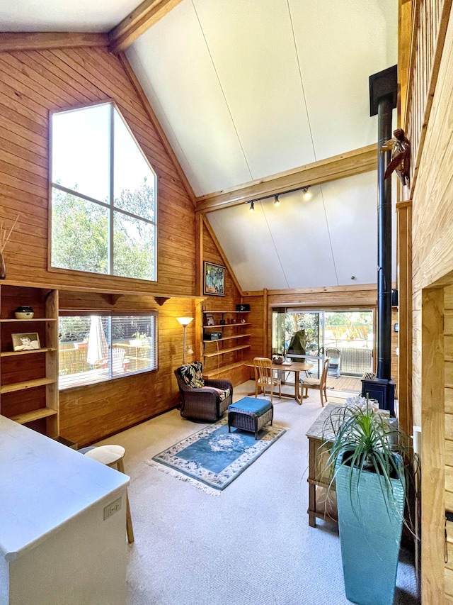 99-7721 Kilau Pl, Volcano, HI 96785 - photo 6