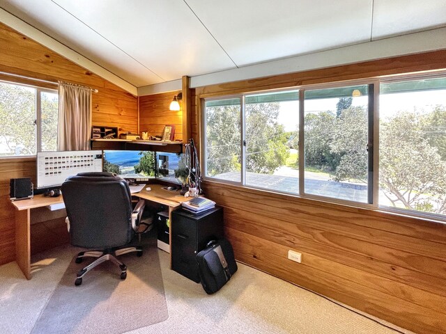 99-7721 Kilau Pl, Volcano, HI 96785 - photo 13