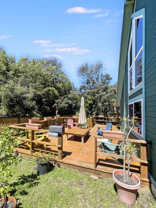 99-7721 Kilau Pl, Volcano, HI 96785 - photo 26
