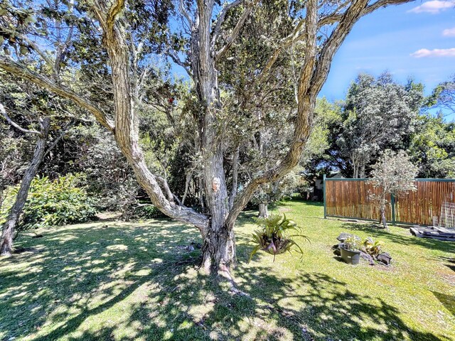 99-7721 Kilau Pl, Volcano, HI 96785 - photo 29