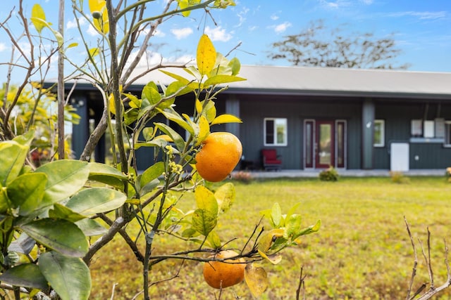 16-2028 35th Ave, Keaau, HI 96749 - view of rear view of house