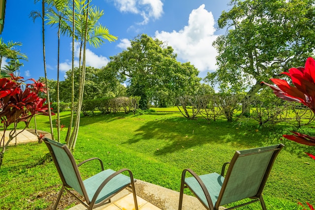 4141 Lei O Papa Rd Unit 6, Princeville, HI 96722 - photo 18