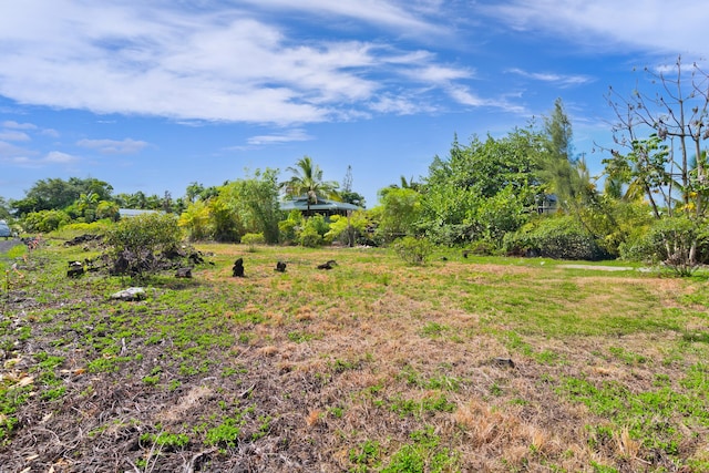 Paradise Ala Kai, Keaau, HI 96749