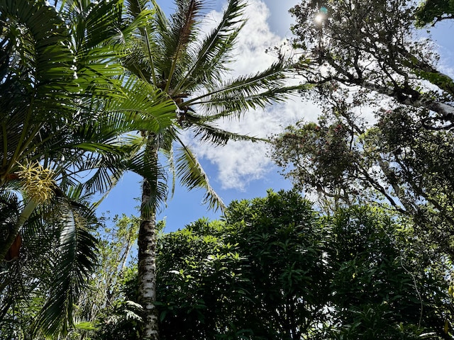 16-233 Orchid Land Dr, Keaau, HI 96749 - exterior view