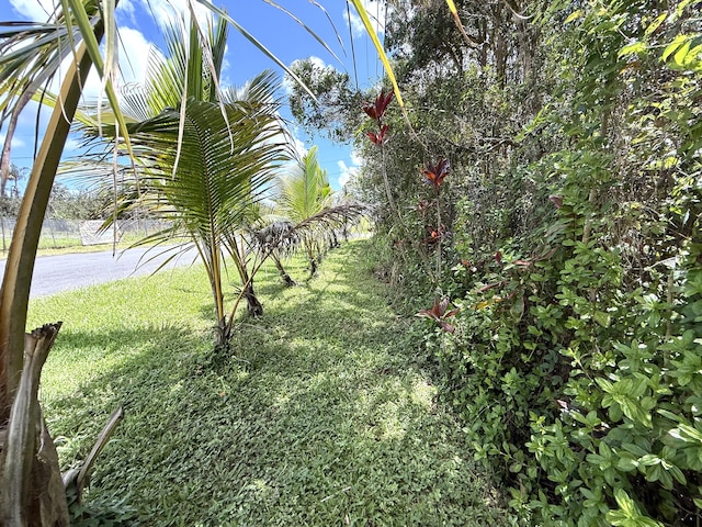 16-233 Orchid Land Dr, Keaau, HI 96749 - view of grassy yard