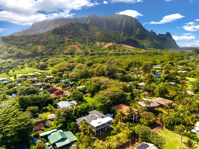 7205 Alealea Rd, Hanalei, HI 96722 - aerial perspective of suburban area with a mountain backdrop