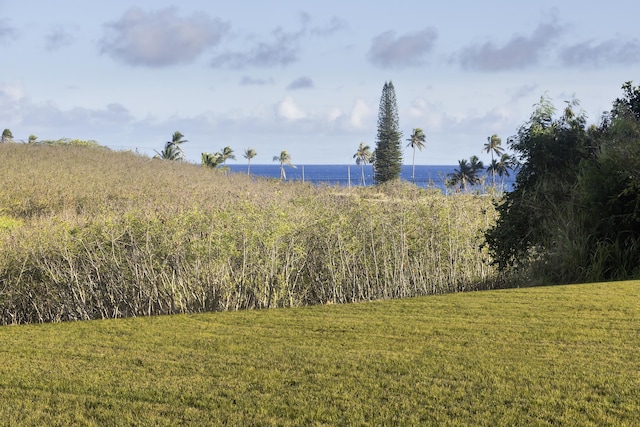 Lau Nahele St, Koloa, HI 96756