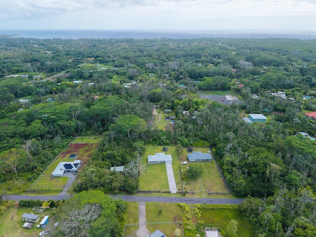 15-2007 14th Ave, Keaau, HI 96749 - photo 29