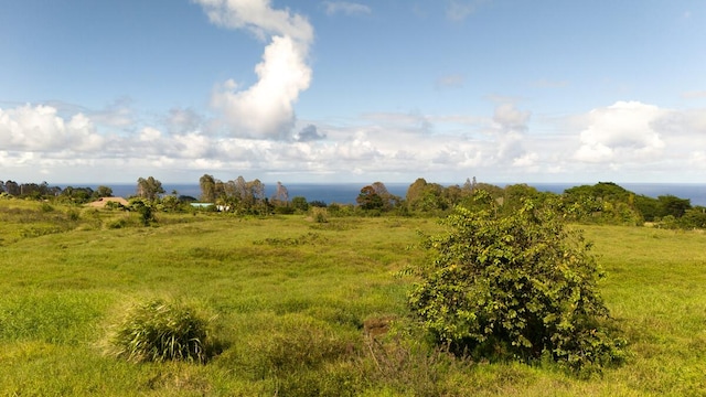 Chin Chuck Rd, Hakalau, HI 96710