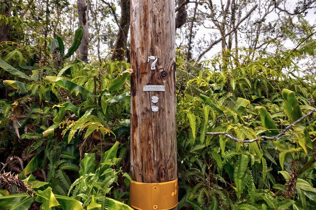 11-3844 9th St, Volcano, HI 96785