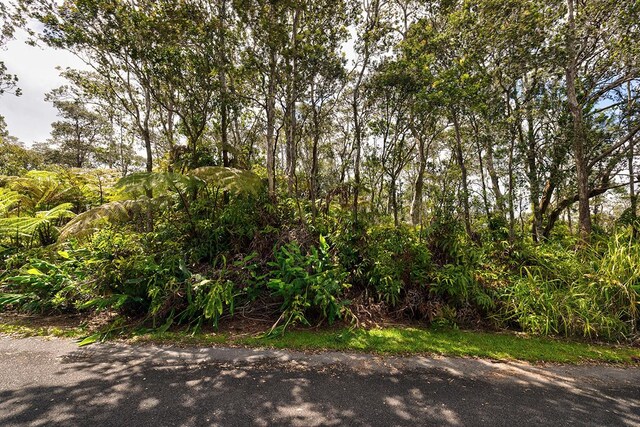 11-3844 9th St, Volcano, HI 96785