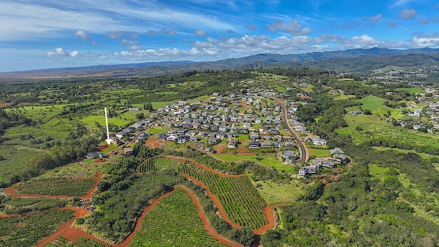 Kuaaina St, Kalaheo, HI 96741