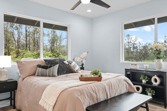 11-3048 Kanilehua Pl, Volcano, HI 96785 - photo 12
