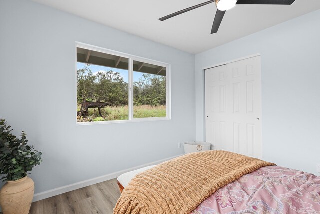 11-3048 Kanilehua Pl, Volcano, HI 96785 - photo 18
