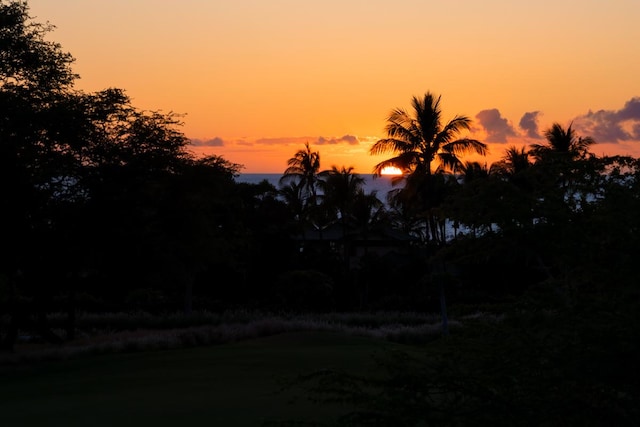 62-3512 Kaunaoa Lii Pl Unit 10B, Kamuela, HI 96743 - view of yard at dusk