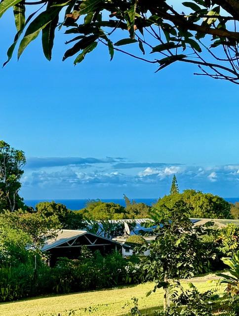 54-322 Union Mill Rd, Kapaau, HI 96755 - photo 7