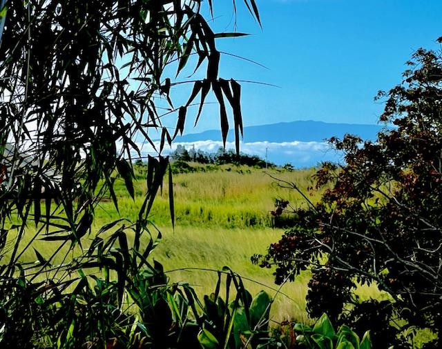 54-322 Union Mill Rd, Kapaau, HI 96755 - photo 6