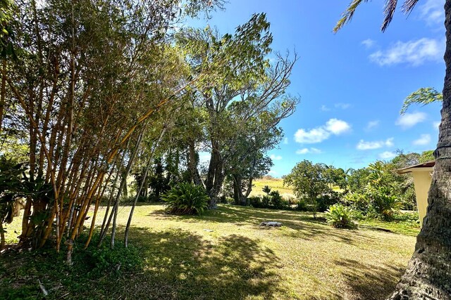 54-322 Union Mill Rd, Kapaau, HI 96755 - photo 27