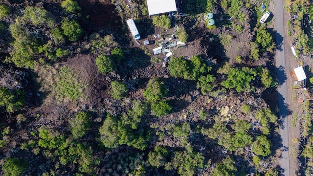 Pikake Ave, Captain Cook, HI 96704