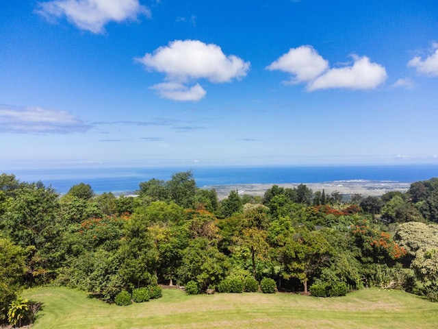73-4566 Kukuki St, Kailua-Kona, HI 96740 - view of grassy yard with a view of trees