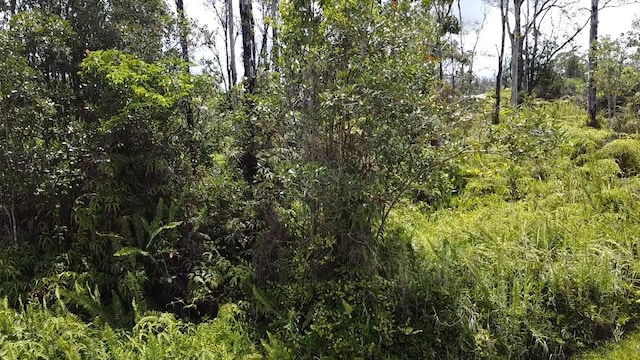 16-2158 Plumeria Dr, Pahoa, HI 96778