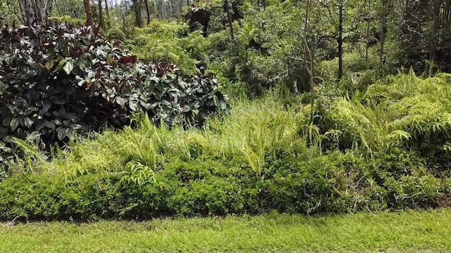 16-2158 Plumeria Dr, Pahoa, HI 96778