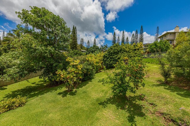 4794 Puuwai Rd Unit 1, Kalaheo, HI 96741 - photo 29