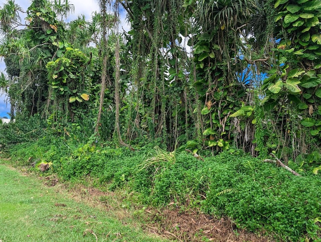 15-2793 Papai St, Pahoa, HI 96778