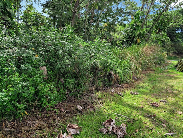 15-2793 Papai St, Pahoa, HI 96778