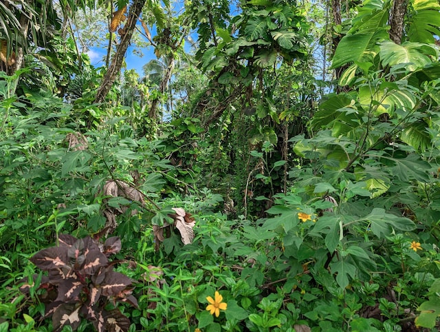 15-2793 Papai St, Pahoa, HI 96778