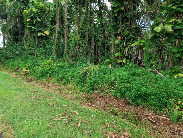 15-2791 Papai St, Pahoa, HI 96778