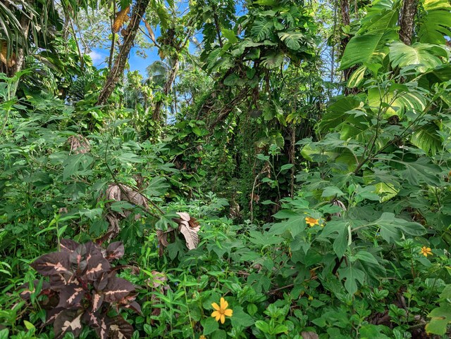 15-2791 Papai St, Pahoa, HI 96778