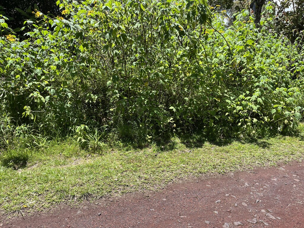 12-543 Kapoho St, Pahoa, HI 96778