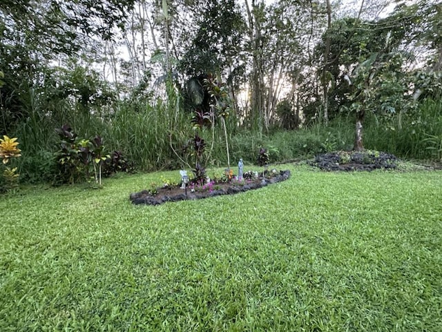 14-682 Kehau Rd, Pahoa, HI 96778 - view of grassy yard