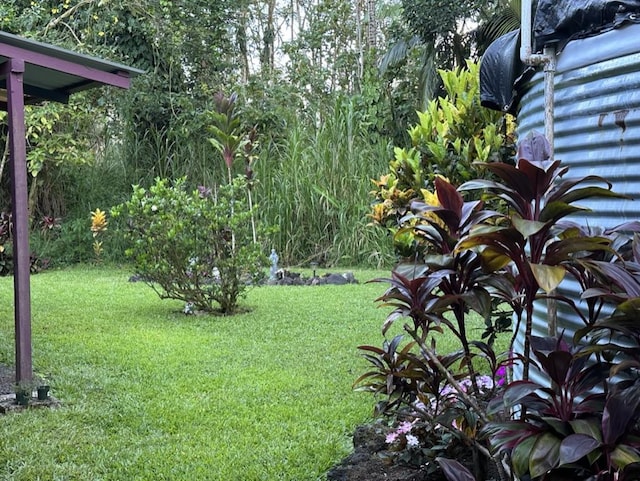 14-682 Kehau Rd, Pahoa, HI 96778 - view of green lawn