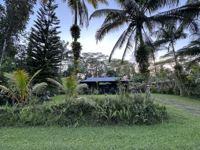 14-682 Kehau Rd, Pahoa, HI 96778 - view of grassy yard