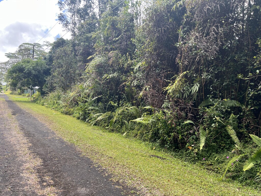 Pahoa Rd, Pahoa, HI 96778
