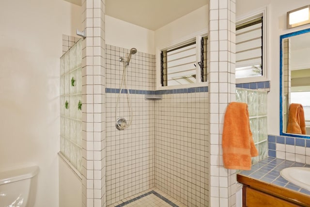 724-B Wainaku St, Hilo, HI 96720 - full bath featuring tiled shower, toilet, vanity, and tasteful backsplash