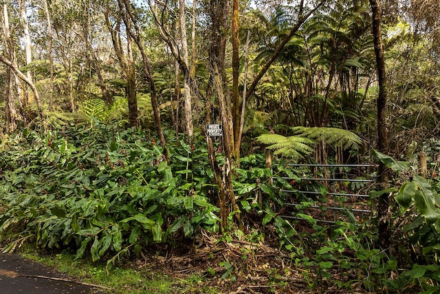 9th St, Volcano, HI 96785