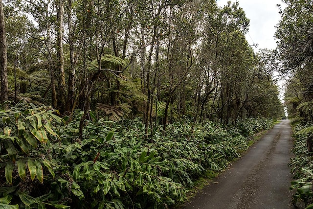9th St, Volcano, HI 96785